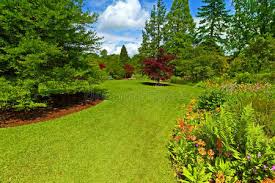 风力发电绿化工程简介怎么写